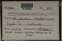 Image Associated With the Occurence